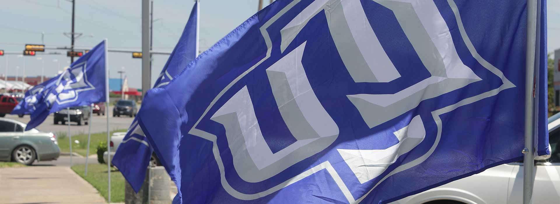 Blue flags with LCU logo in the wind 